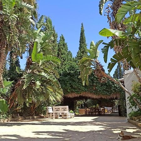 Bakit House - Casa Rural Con Piscina أغيلاس المظهر الخارجي الصورة